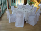 Wedding Chairs With White Organza Sashes